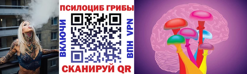 Псилоцибиновые грибы ЛСД  магазин продажи   Петрозаводск 